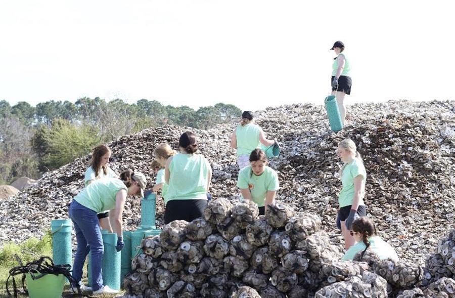 <a href='http://kgfn.lscarpet.net'>和记棋牌娱乐</a>的另类春假学生组织三月份去了罗斯玛丽海滩, Florida, 他们的工作包括将牡蛎壳装袋，作为珊瑚礁重新造林项目的一部分. (Submitted photo)